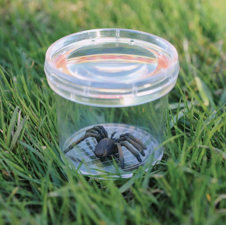Bug viewer jar